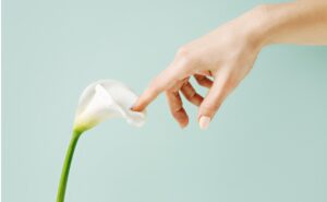 woman hand touching calla lily flower on pastel green background.jpg s=1024x1024&w=is&k=20&c=pxp IEZiwYvbR53IGhU8dP6NMxSlAhgyjZM7HB75cm8=