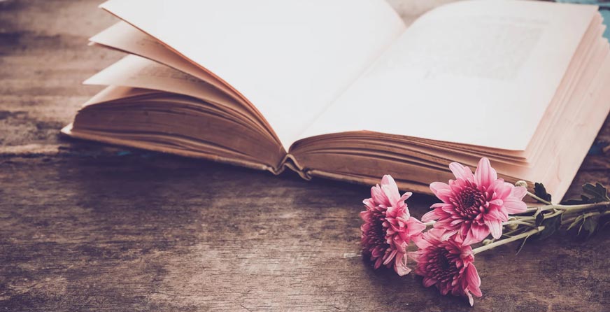 Maze Womens Health Relationship Books