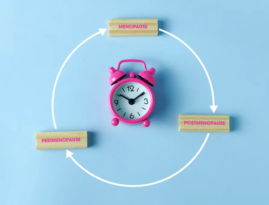 img the stages of menopause 2x