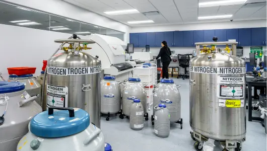 westchester 03 1x.webp