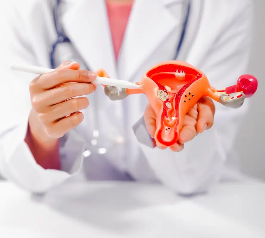 img vaginismus how the treatment works 2x